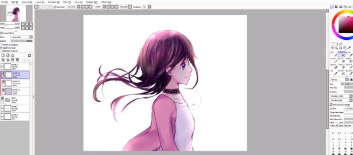 Anime coloring paint tool sai