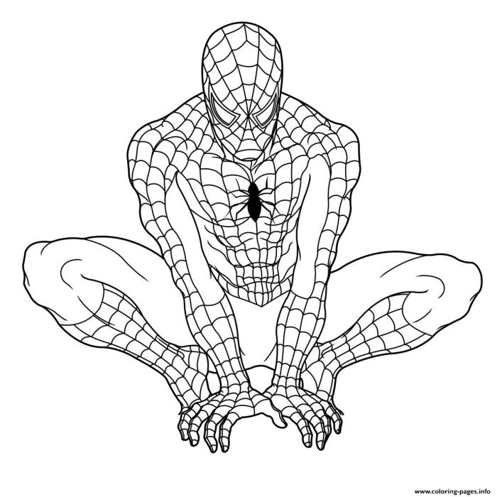 Spiderman printable coloring book