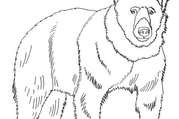 Brown bear book coloring pages