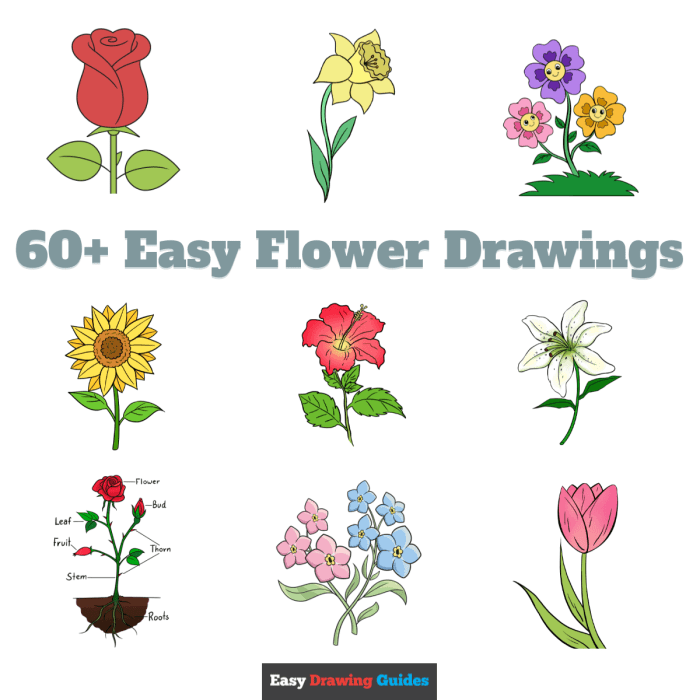 Coloring book pictures of flowers simple