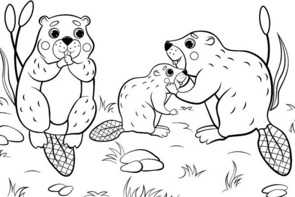 Free printable animal coloring sheets