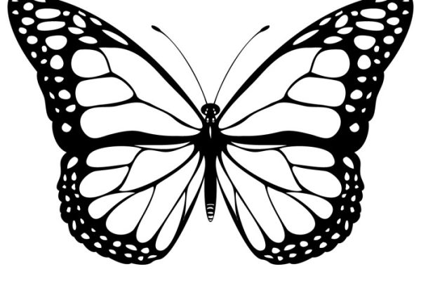 Coloring book images of butterflies