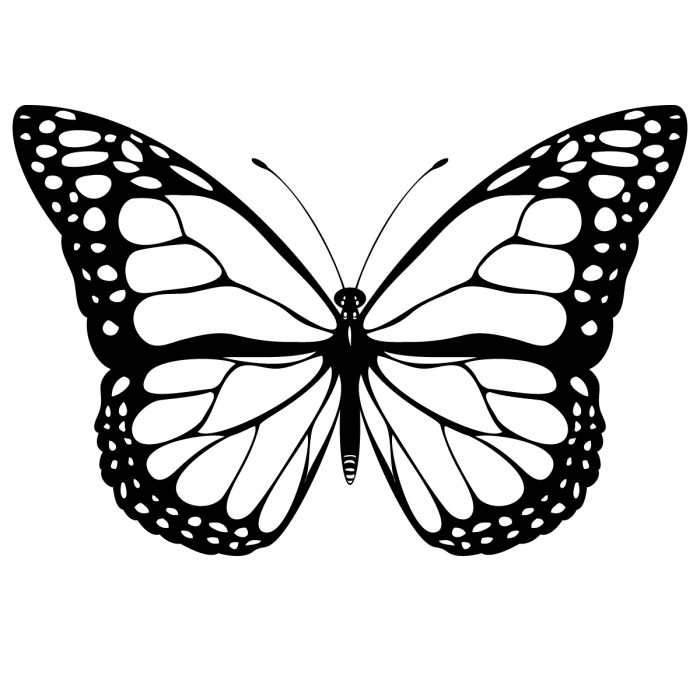 Coloring book images of butterflies