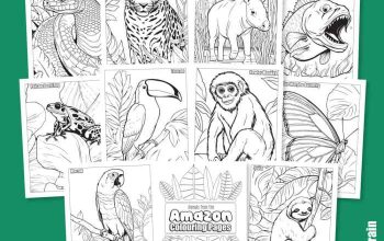 Free printable rainforest animal coloring pages