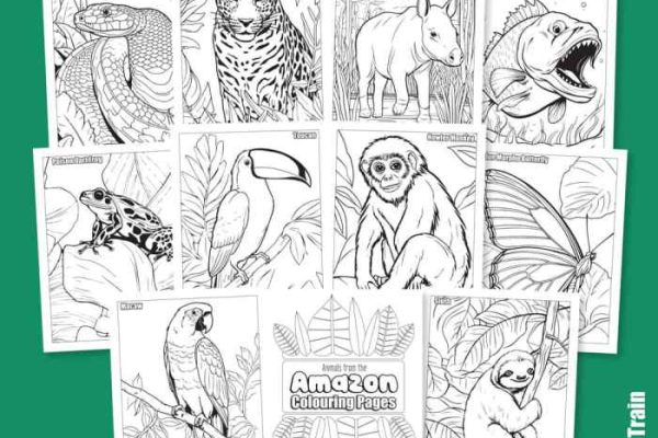 Free printable rainforest animal coloring pages