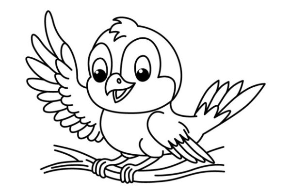 Anime birdt coloring pages