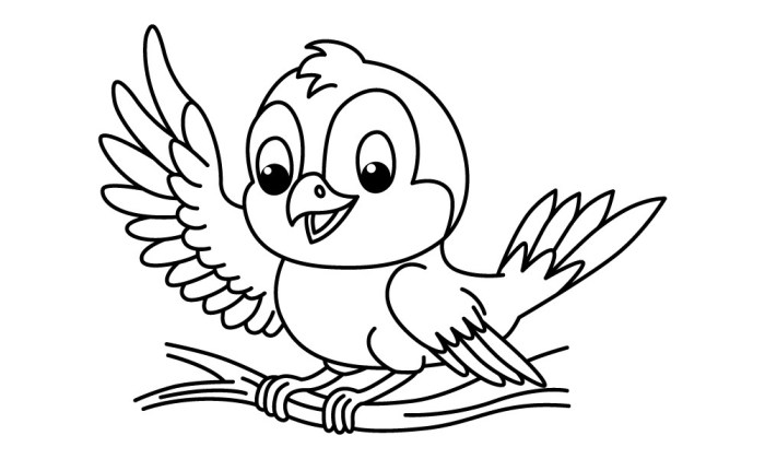 Anime birdt coloring pages