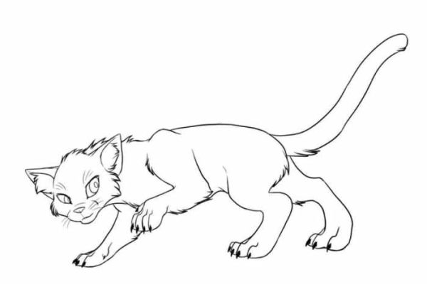 Anime coloring pages warrior cats