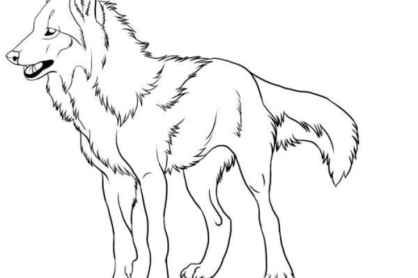 Wolf coloring book pages