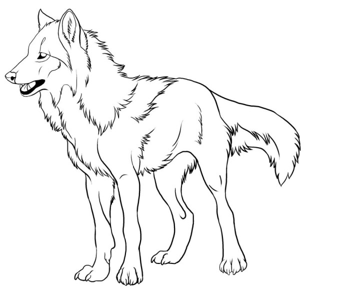 Wolf coloring book pages