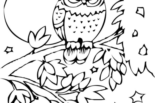 Free printable coloring pages of animals