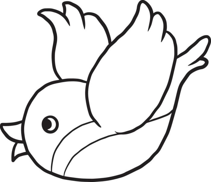 Anime birdt coloring pages