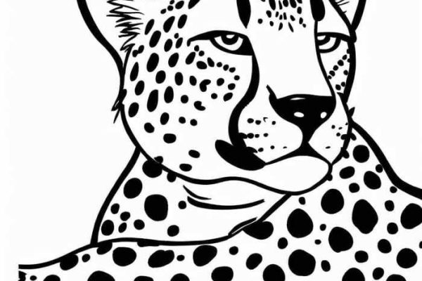 Cheetah coloring pages printable jungle lion king