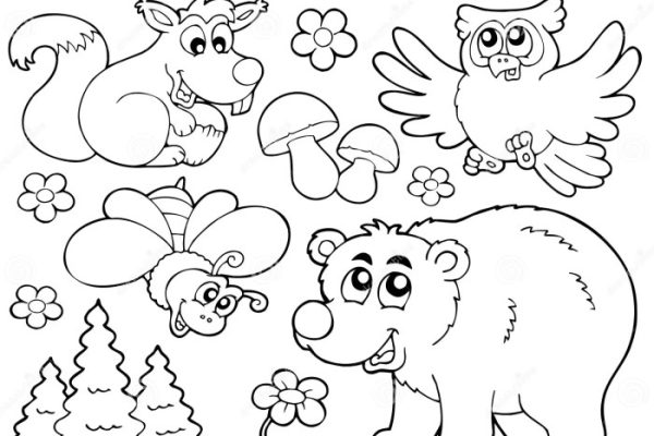 Forest animals coloring book