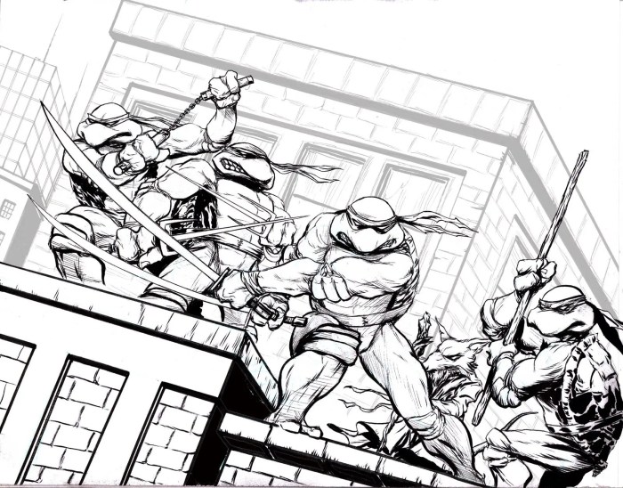 Ninja turtles coloring book