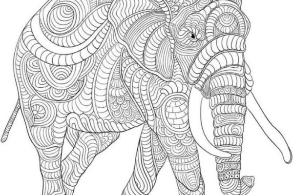 Coloring pages animals hard