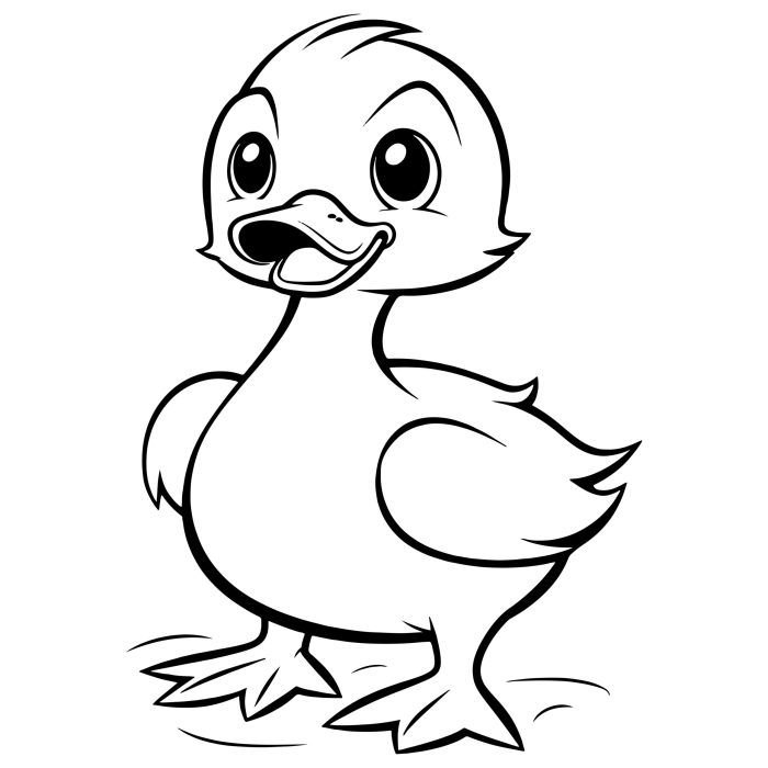 Animated duckl coloring pages