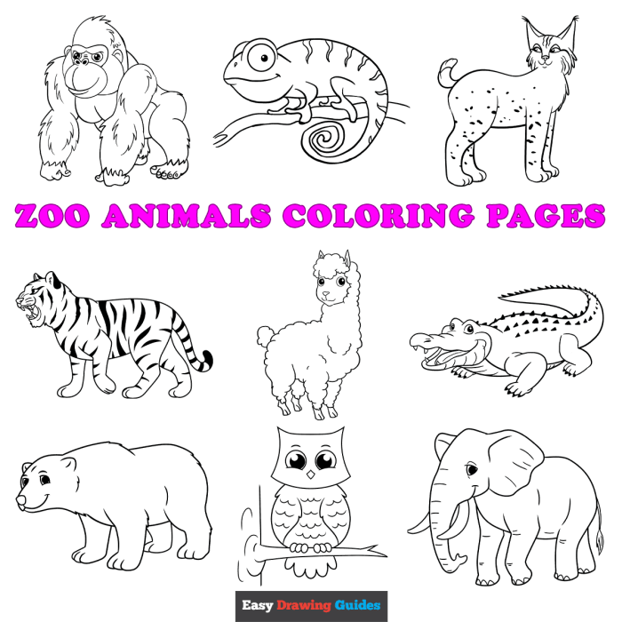 Zoo animal coloring pages to print