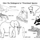 Endangered animals coloring pages printable