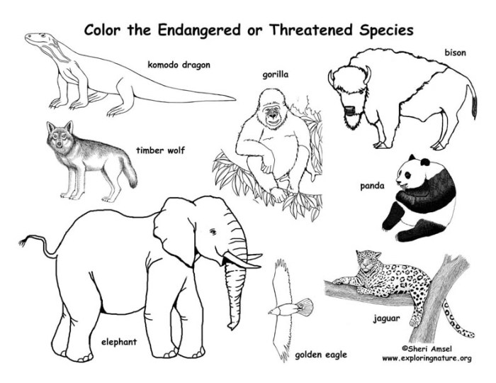 Endangered animals coloring pages printable