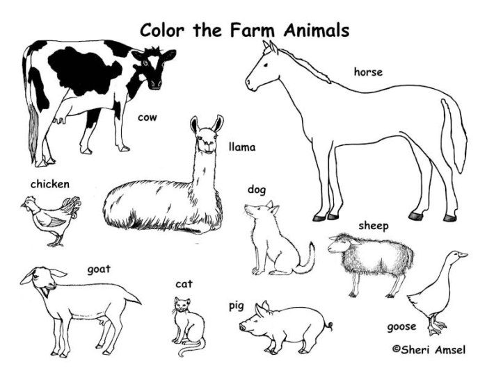 Farm animals free coloring pages