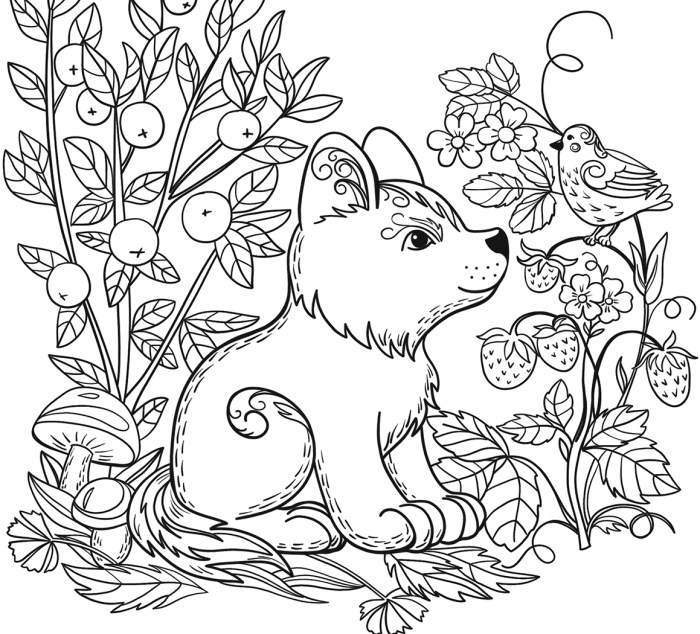 Coloring pages about animals