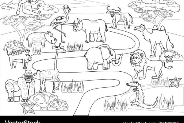 Jungle animal coloring book