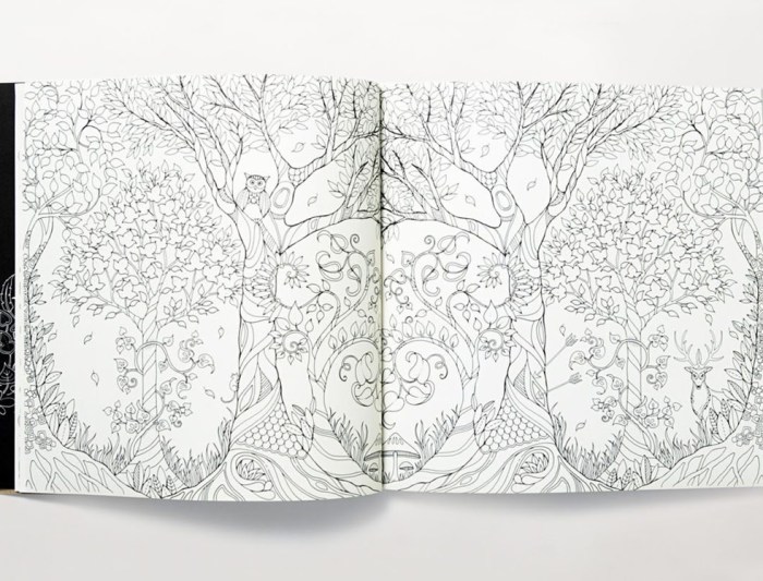 Enchanted forest an inky quest & coloring book