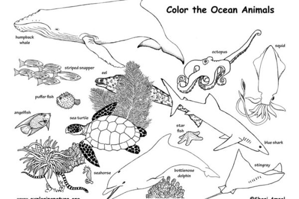 Ocean animal coloring sheet