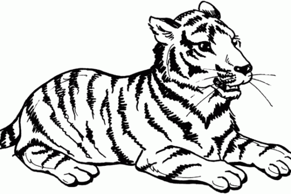 Animated big cat coloring pages